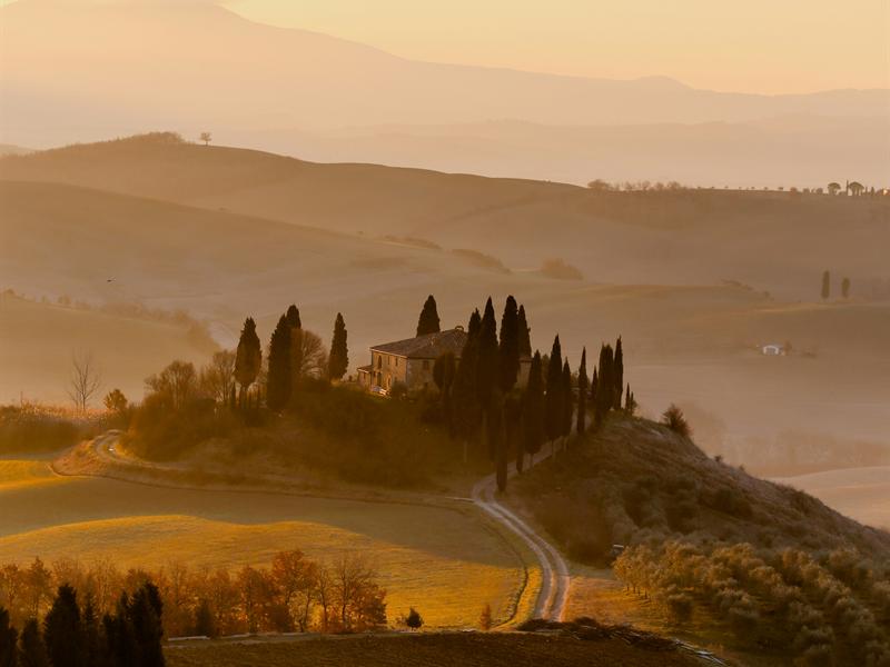 Rolling hills with cypress trees at sunset, Tuscany